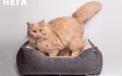 Лежанка для животного малая