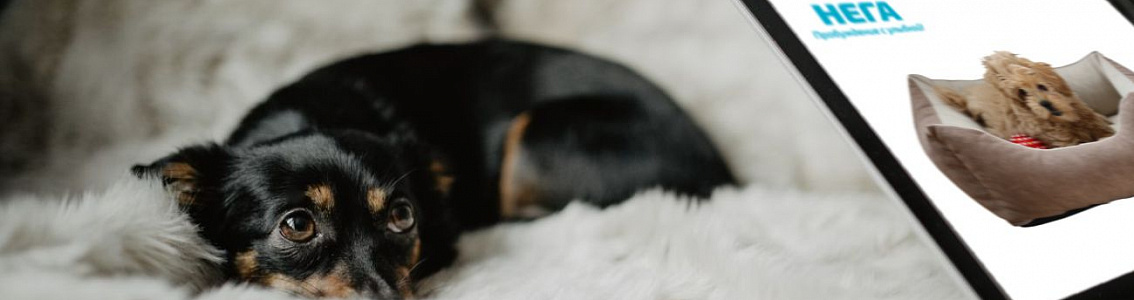 Благотворительный проект